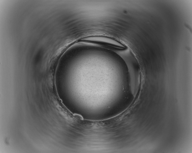 X0000099480345200805161140