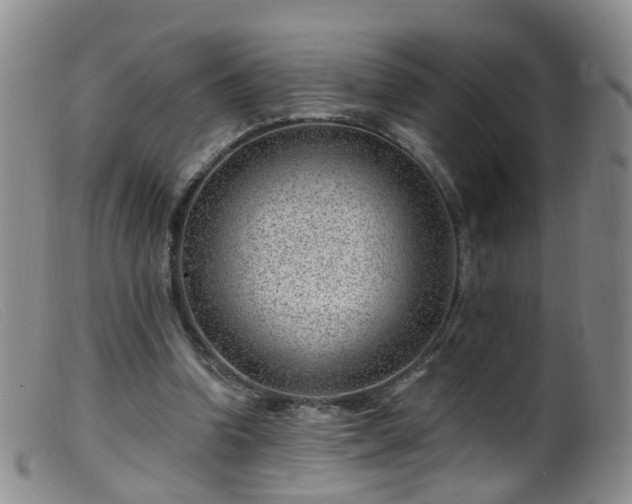X0000099480346200805161140