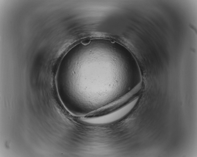 X0000099480347200805161140