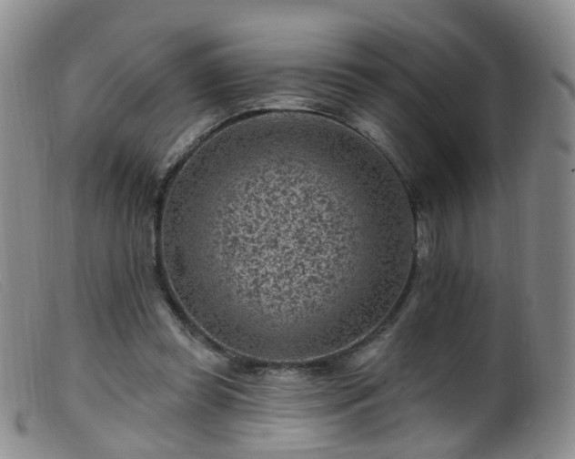 X0000099480349200805161140