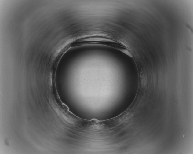 X0000099480350200805161140