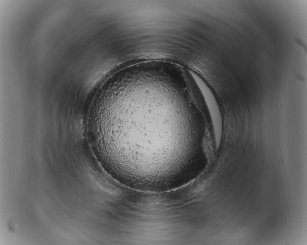 X0000099480351200805161140