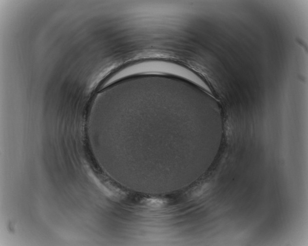 X0000099480352200805161140