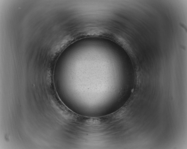 X0000099480354200805161140