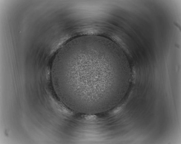 X0000099480355200805161140