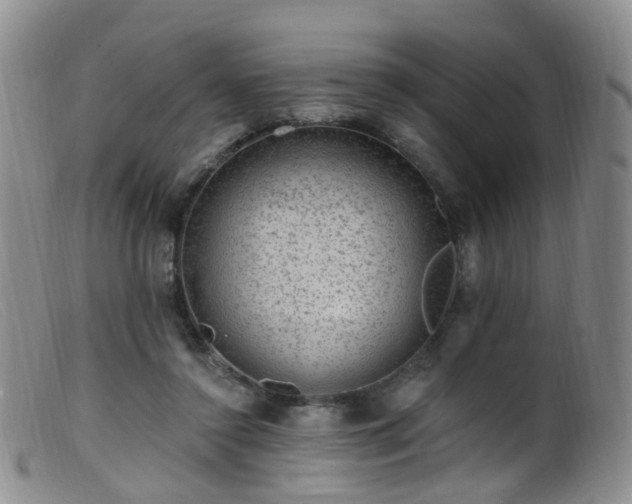 X0000099480356200805161140