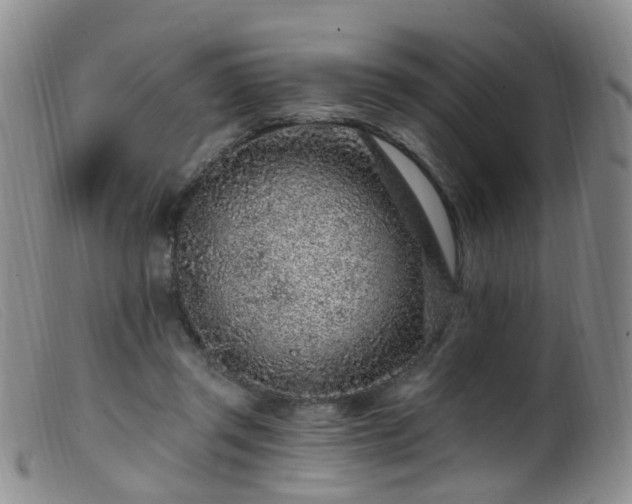 X0000099480357200805161140