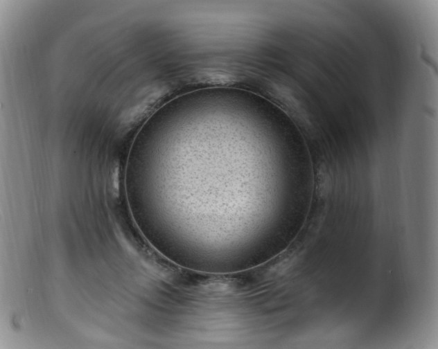 X0000099480358200805161140
