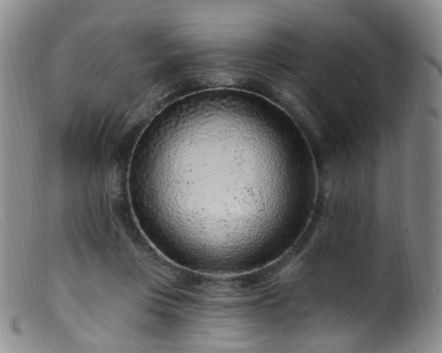 X0000099480359200805161140