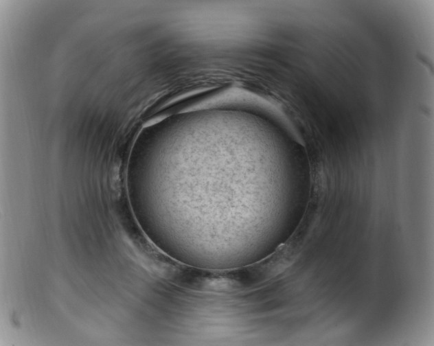 X0000099480360200805161140