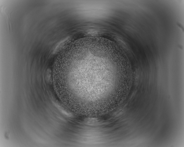 X0000099480361200805161140