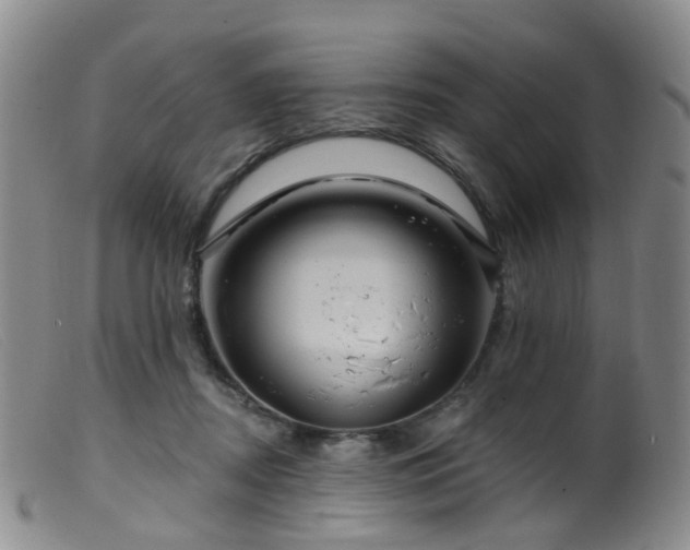 X0000099480362200805161140