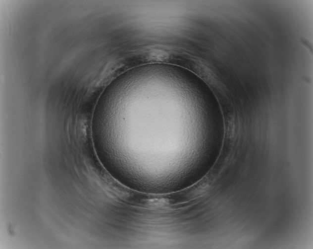 X0000099480363200805161140