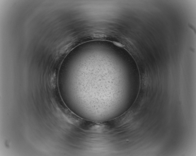X0000099480364200805161140