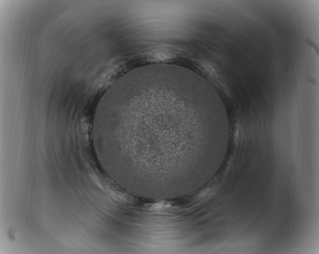 X0000099480366200805161140