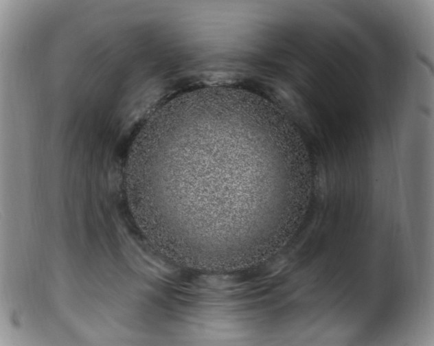 X0000099480367200805161140