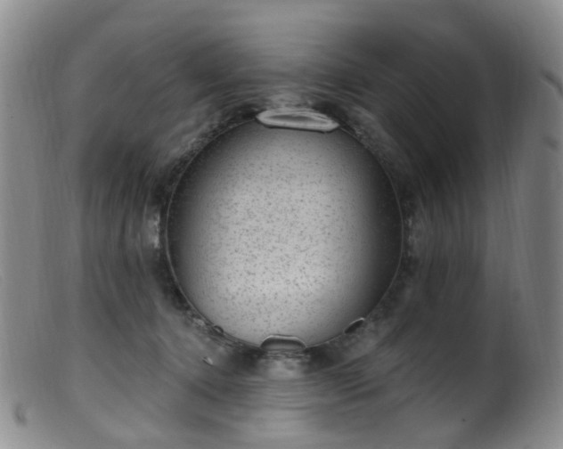 X0000099480368200805161140