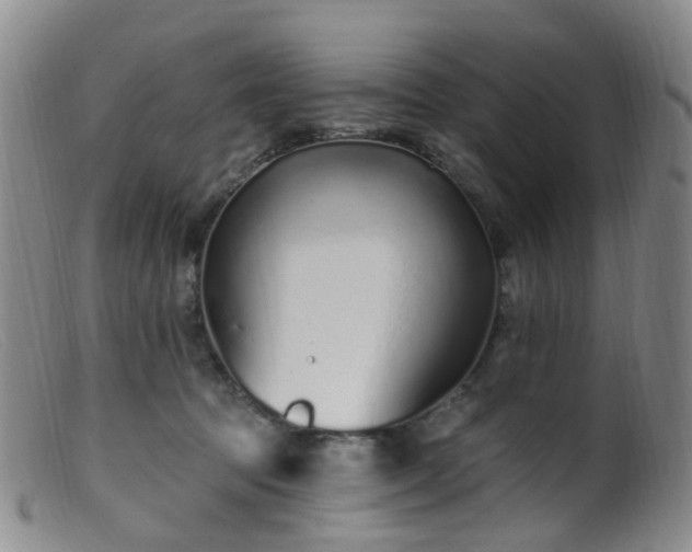 X0000099480369200805161140