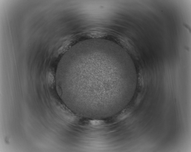 X0000099480371200805161140