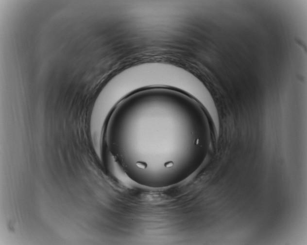 X0000099480372200805161140
