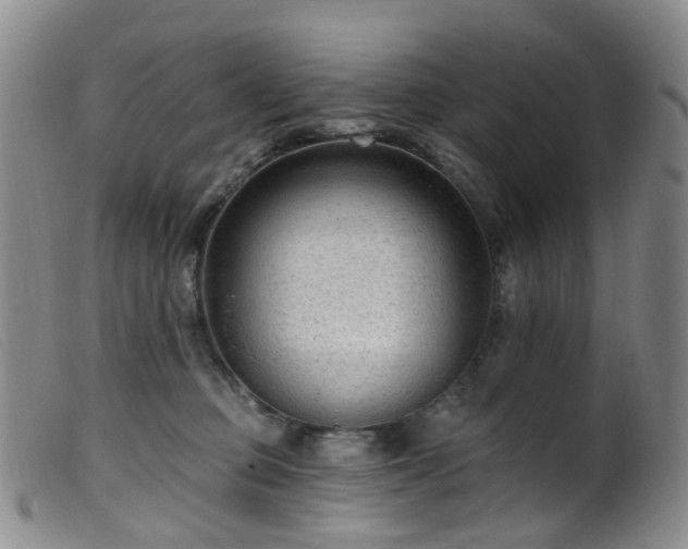 X0000099480373200805161140