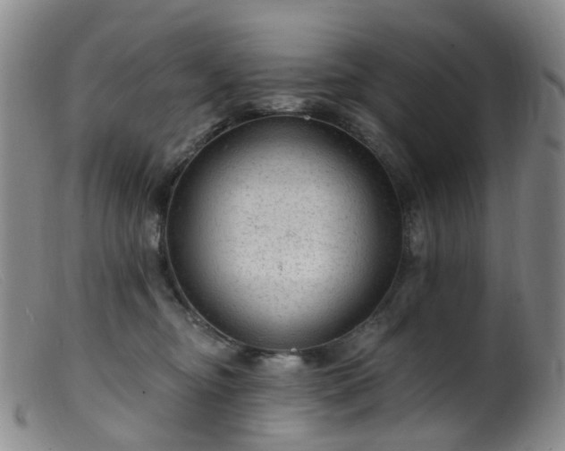 X0000099480374200805161140