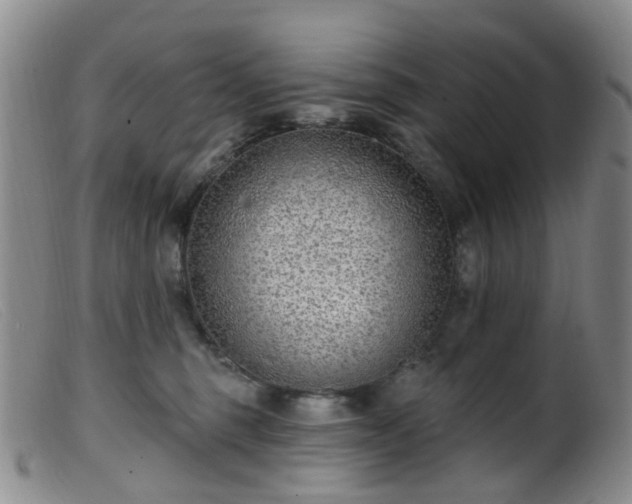 X0000099480375200805161140