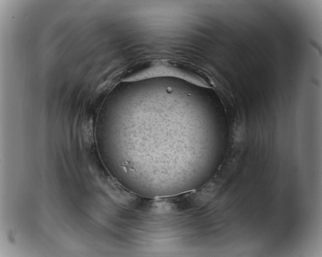 X0000099480376200805161140