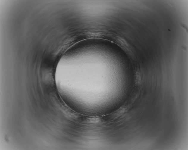 X0000099480377200805161140