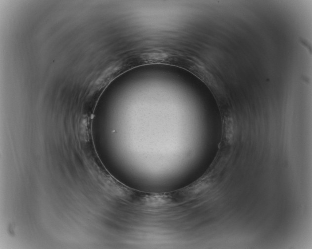 X0000099480378200805161140