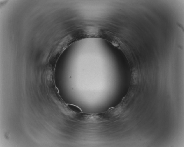 X0000099480379200805161140