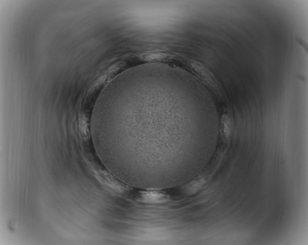 X0000099480380200805161140