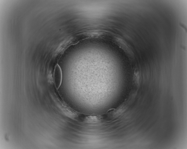 X0000099480381200805161140