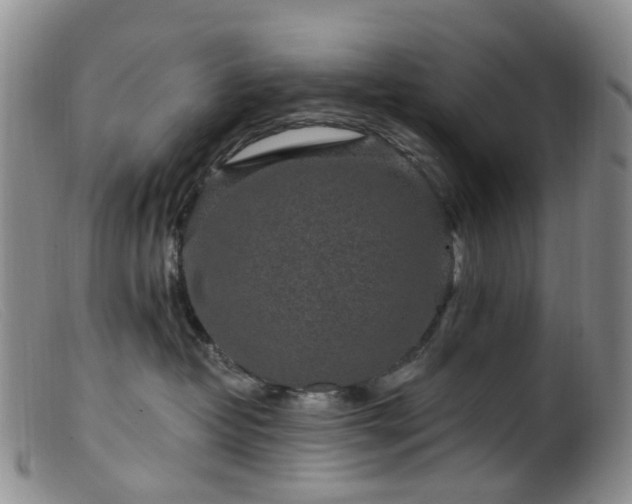 X0000099480382200805161140