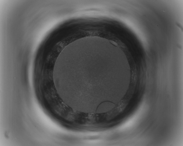 X0000099480383200805161140