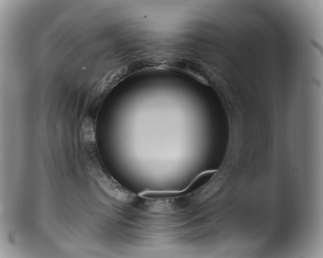 X0000099480384200805161141