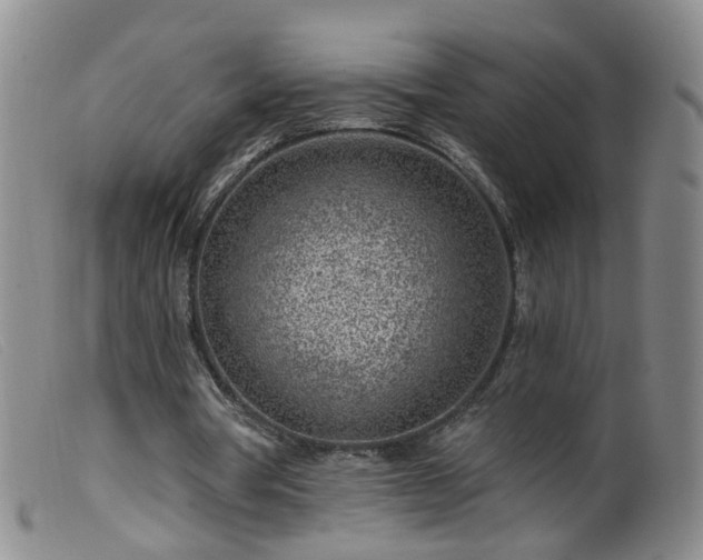 X0000099480386200805161140