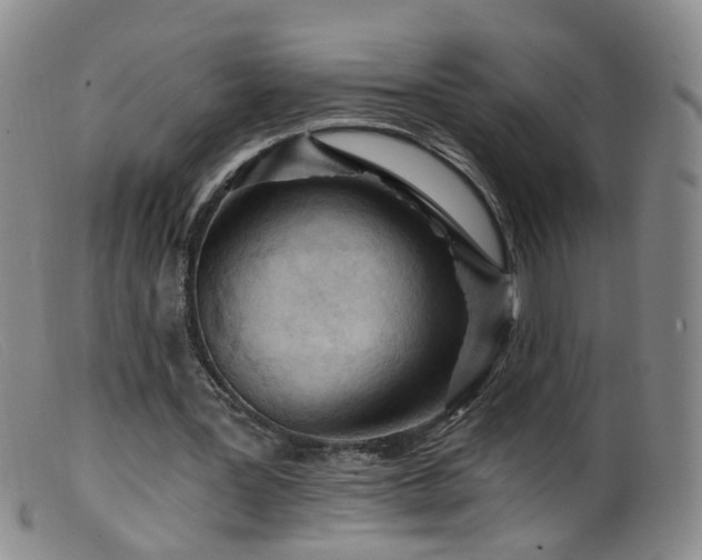 X0000099480387200805161140
