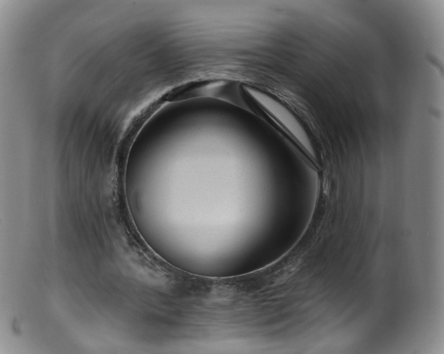 X0000099480388200805161140