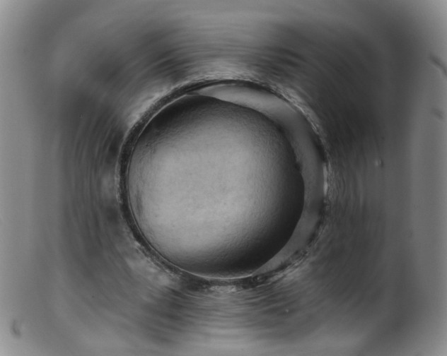 X0000099480391200805161140