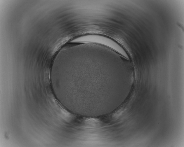 X0000099480397200805161139