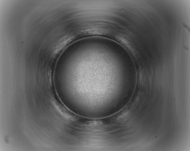 X0000099480398200805161139