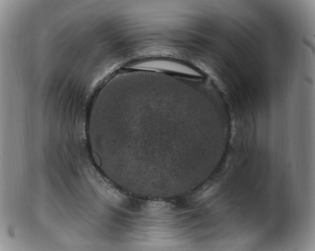 X0000099480399200805161139