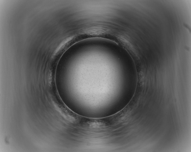 X0000099480400200805161139