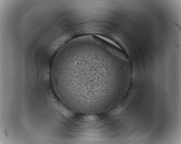 X0000099480402200805161139