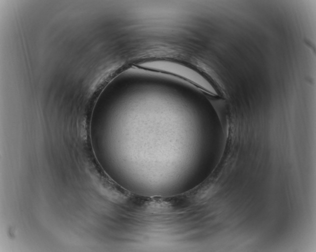 X0000099480403200805161139