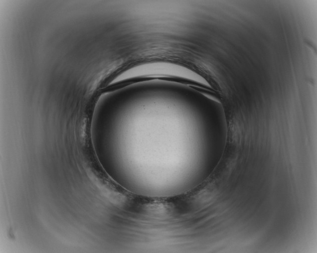 X0000099480404200805161139