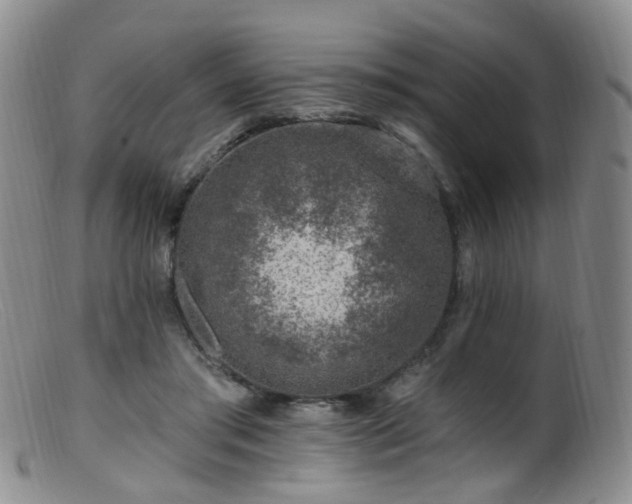 X0000099480405200805161139