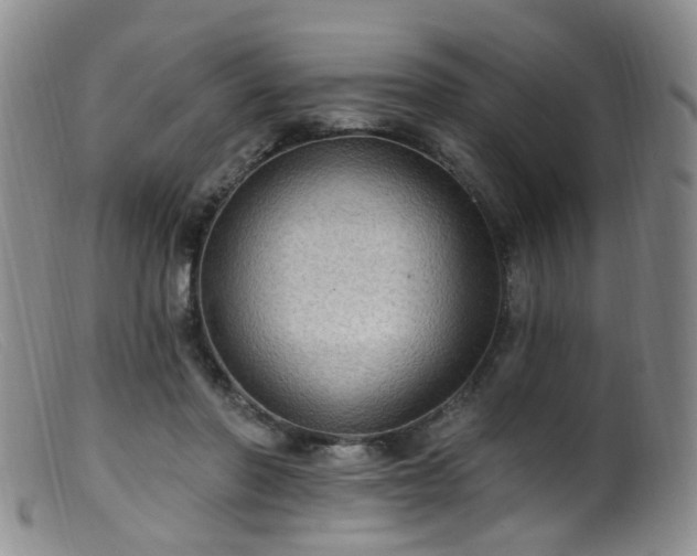 X0000099480406200805161139