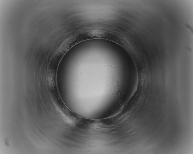 X0000099480408200805161139